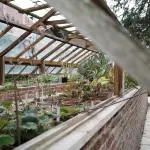 Come diserbare in modo naturale